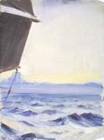 Seascape from the 'Birkdale'