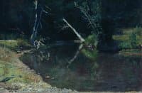 Forest Stream