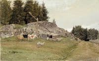 Sandefjord Landscape
