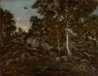 Forest of Fontainbleau