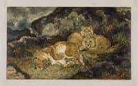 Lioness and Cubs