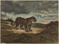 Jaguar Standing