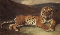 Tiger Reclining