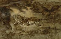 Tiger at Rest