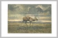 Standing Antelope