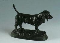English Basset Hound