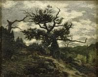 In the Forest of Fontainbleau