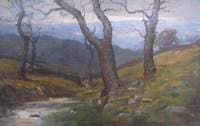 Stream Scene