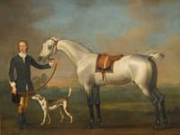 A Gray Hunter Held by a Groom