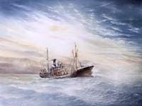 The 'Viviana'