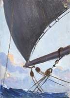 View Aloft Under Sail
