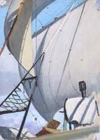 View Aloft Under Sail