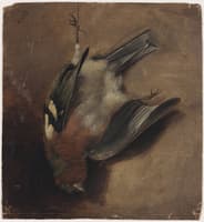 Dead Bird