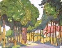 Road Lined with Trees