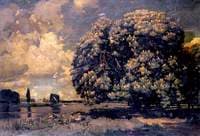 The Chestnut Tree