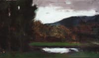 Vallée de Munster, after the Storm