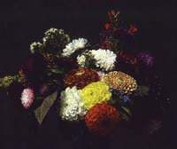 Dahlias