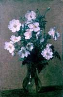 Japanese Anemones