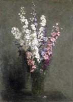 Larkspurs