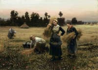 The Harvesters