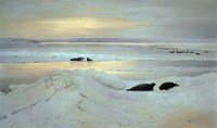 Polar Night