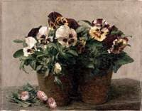 Still Life: Pansies and Daisies