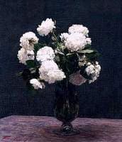 White Roses