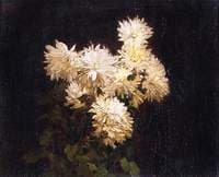Winter Blossoms