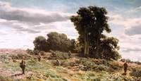 Forest of Meikleour, Perthshire