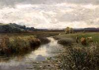 Meadow and Moorland
