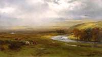Rainstorm on Dartmoor, Devon