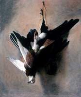 A Pigeon and a Magpie