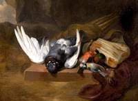 Dead Poultry