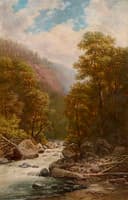 Forest River