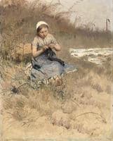 The Little Knitter