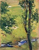 Stream with Trees