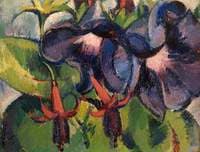 Study of Fuschias