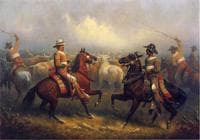 California Vaqueros