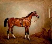 A Hunter