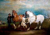 Carthorses with Grooms at a Fair