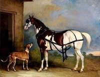 'Lofty', a Skewbald Carriage Horse, with a Greyhound