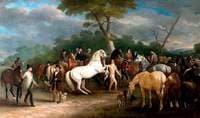 Melton Mowbray Horse Fair