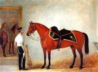 Lieutenant Colonel Arthur Bentinck, the 7th (Princess Royal's) Dragoon Guards