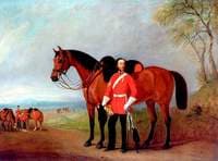 Troop Sergeant Major, the 7th (Princess Royal's) Dragoon Guards