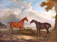 Two Racehorses, Called 'Cock Robin' and 'Langar'