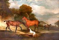 Two Racehorses, Called 'The Sheriff' and 'Bensh'