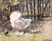 Chickens