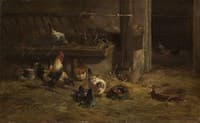 Poultry