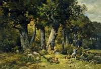 Forest Scene