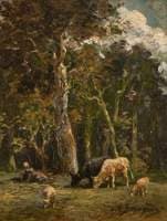Meadow Pastures